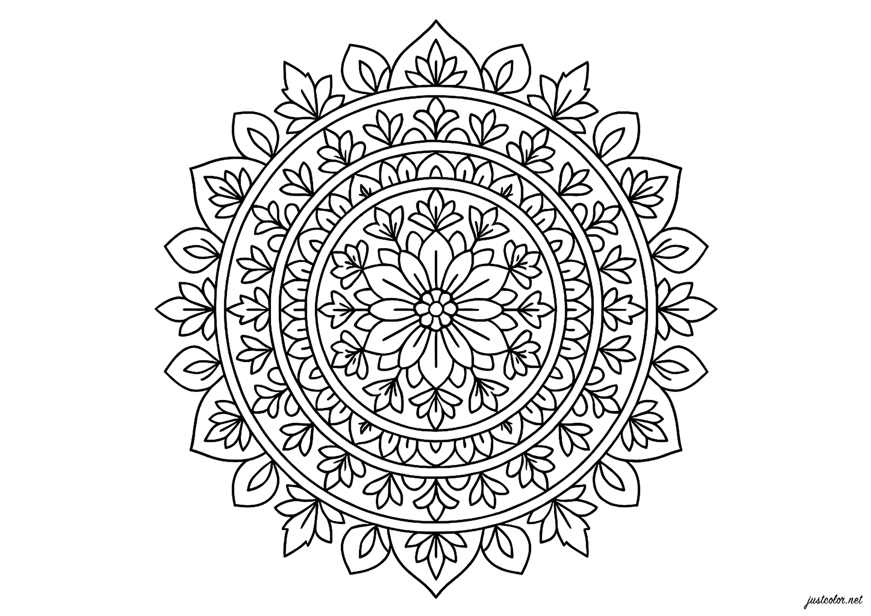 Friedliche und harmonische florale Symmetrie (Ausmalbild von Mandalas zum Ausdrucken und Ausmalen für Erwachsene)