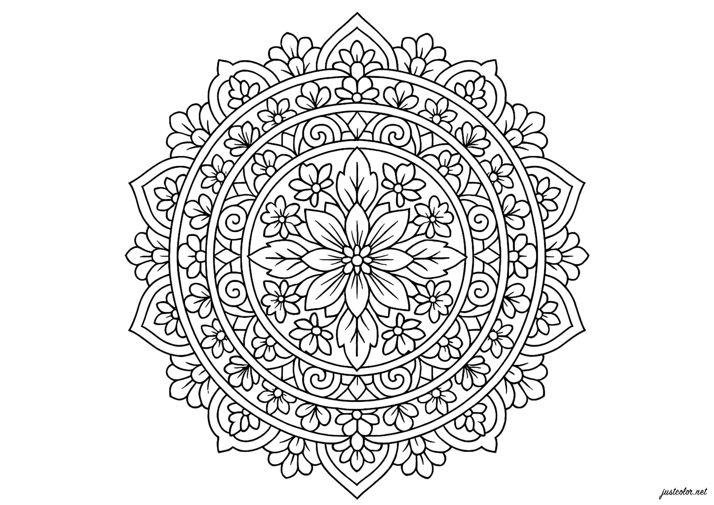 Komplexe florale Symmetriemuster (Ausmalbild von Mandalas zum Ausdrucken und Ausmalen für Erwachsene)
