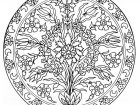 Mandala und Blumen (Ausmalbild)
