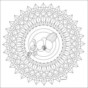 Mandala mit Orchidee (Ausmalbild von Morgan)