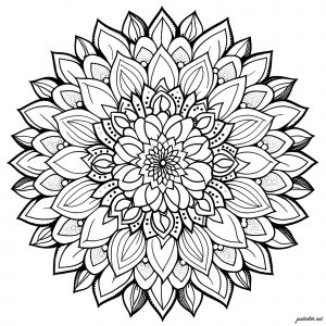 Einfaches Mandala mit Blütenblättern (Ausmalbild)
