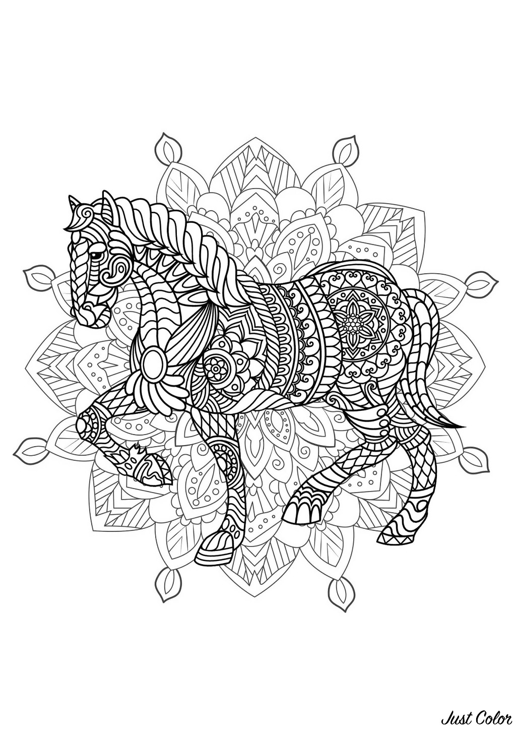 Mandala zum Ausmalen mit schönem Pferd und komplexen Mustern im Hintergrund