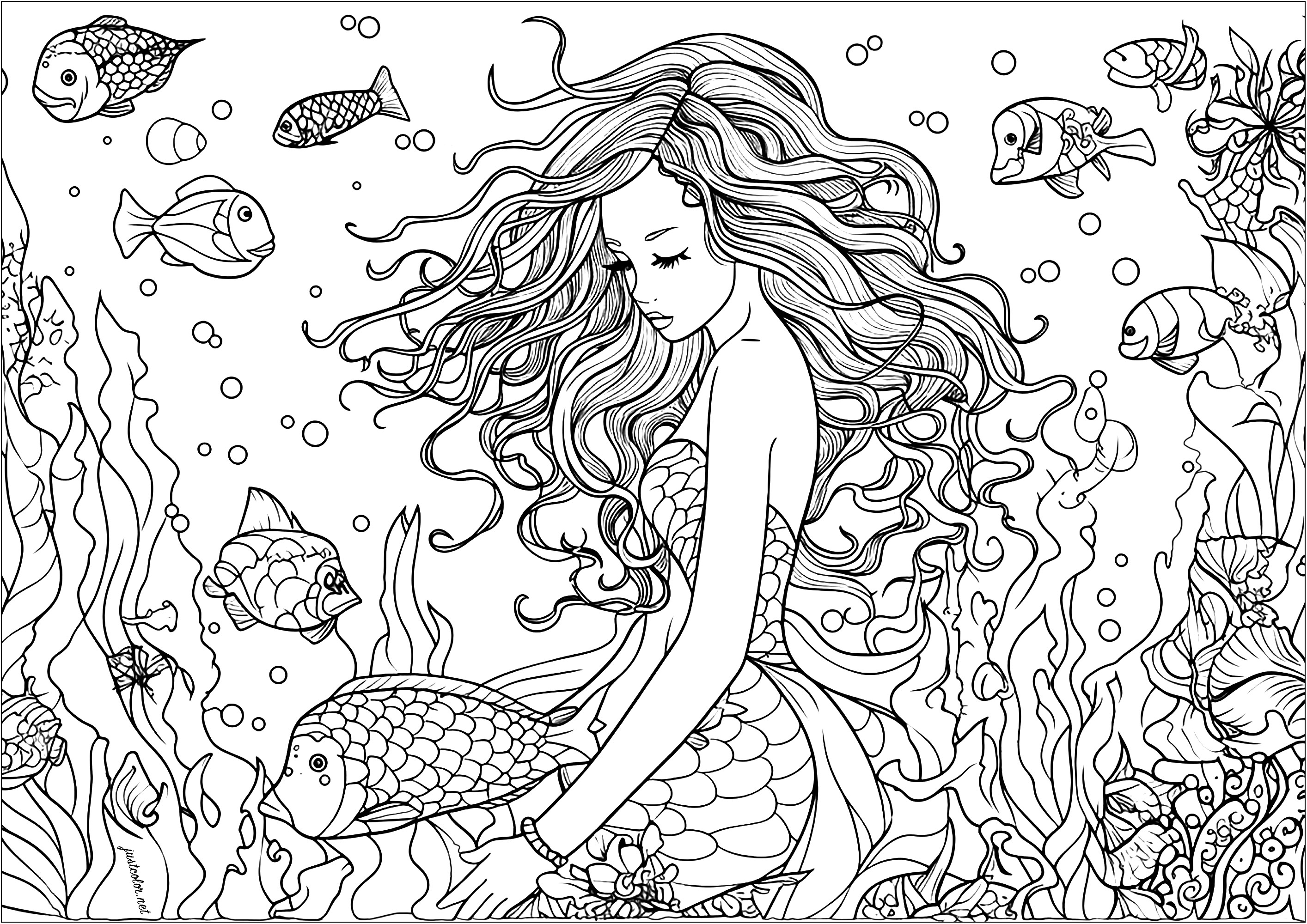 Ausmalen einer schönen Meerjungfrau, umgeben von Fischen. Diese Meerjungfrau hat ein langes gewelltes Haar, färbt es und die schönen Fische, die sie umgeben, sowie die Algen und Korallen, die Teil dieser schönen Unterwasserlandschaft sind.