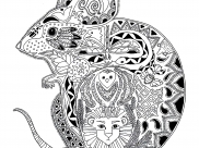 Mäuse