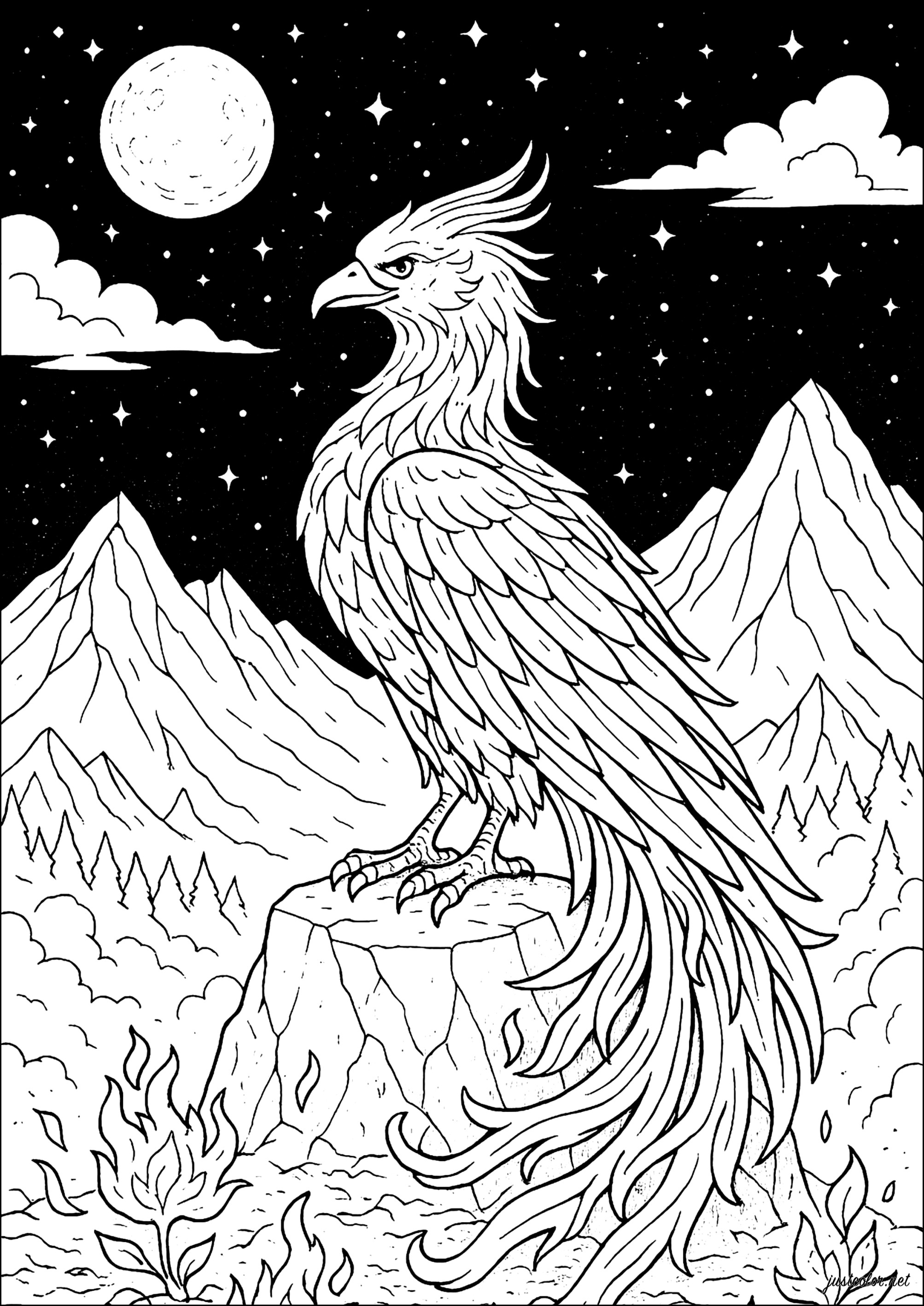 Der Phönix, Symbol der ewigen Wiedergeburt (Ausmalbild von Mythen & Legenden zum Ausdrucken und Ausmalen für Erwachsene)
