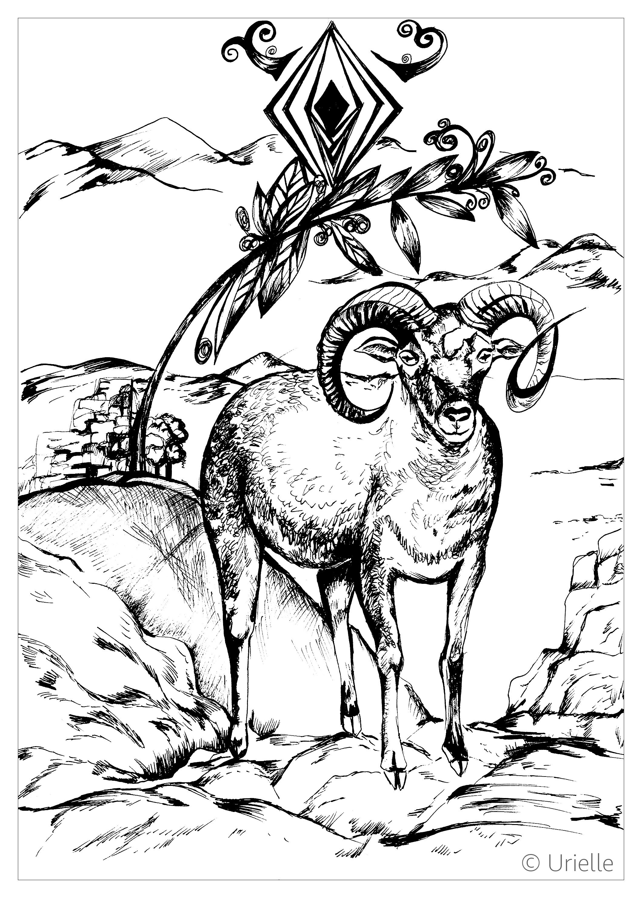 Andere-tiere-15112 (Ausmalbild von Andere Tiere zum Ausdrucken und Ausmalen für Erwachsene)