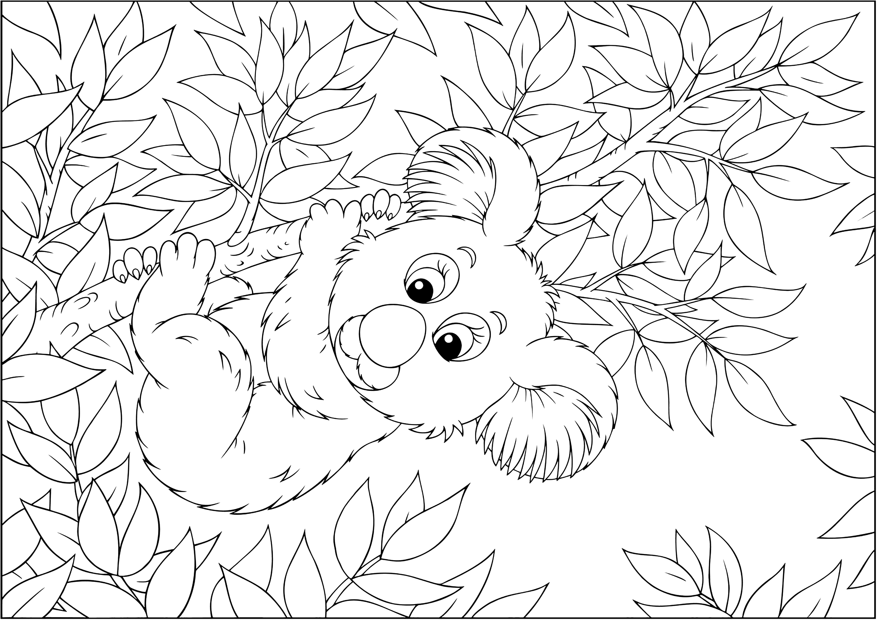 Niedlicher Koala, der sich an einen Bambuszweig klammert (Ausmalbild von Andere Tiere zum Ausdrucken und Ausmalen für Erwachsene)