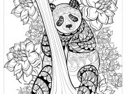 Ausmalbilder von Panda zum Ausdrucken und Ausmalen für Erwachsene