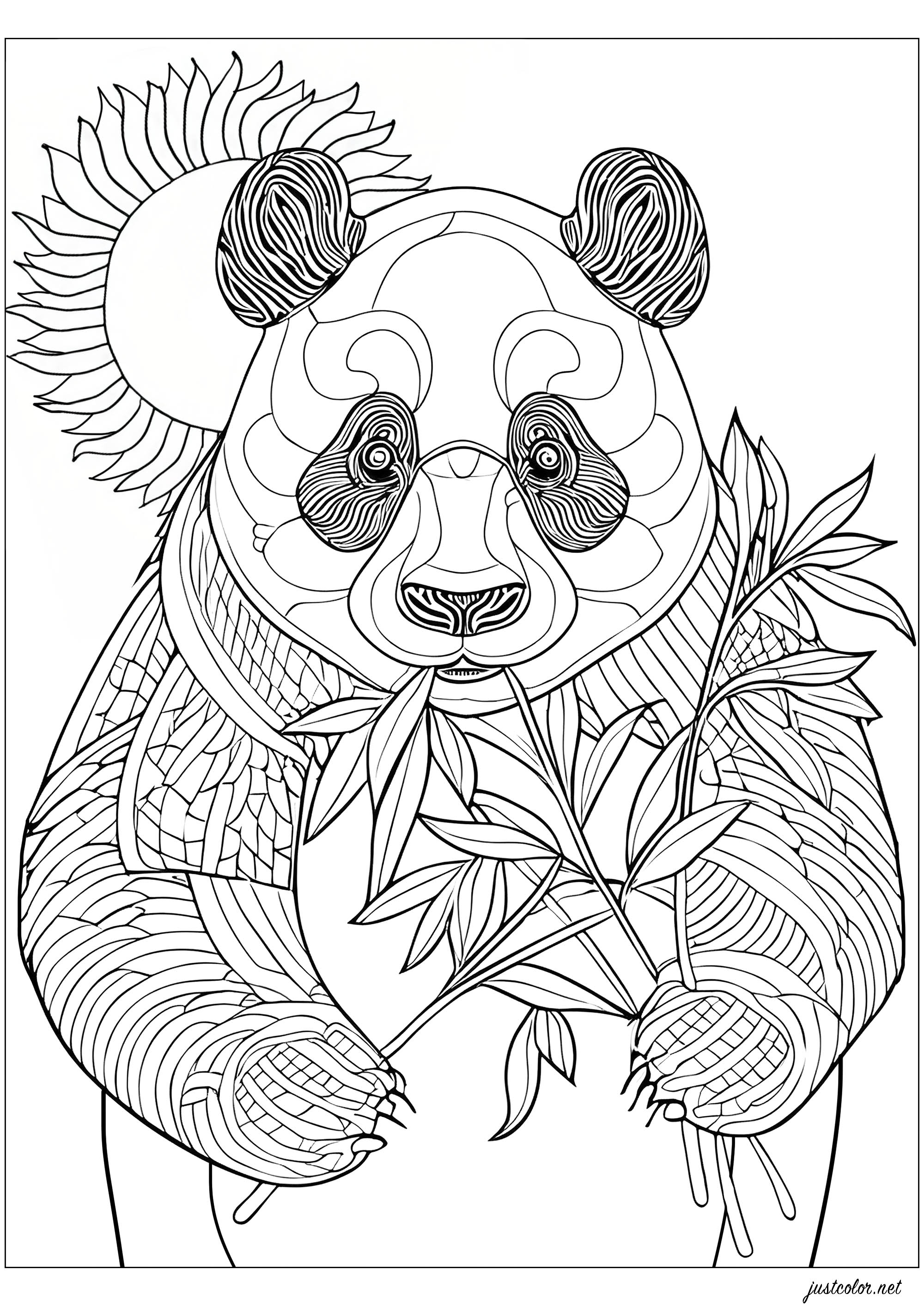 Panda frisst Bambus, stehend. Färbt auch die hübsche Sonne hinter ihm