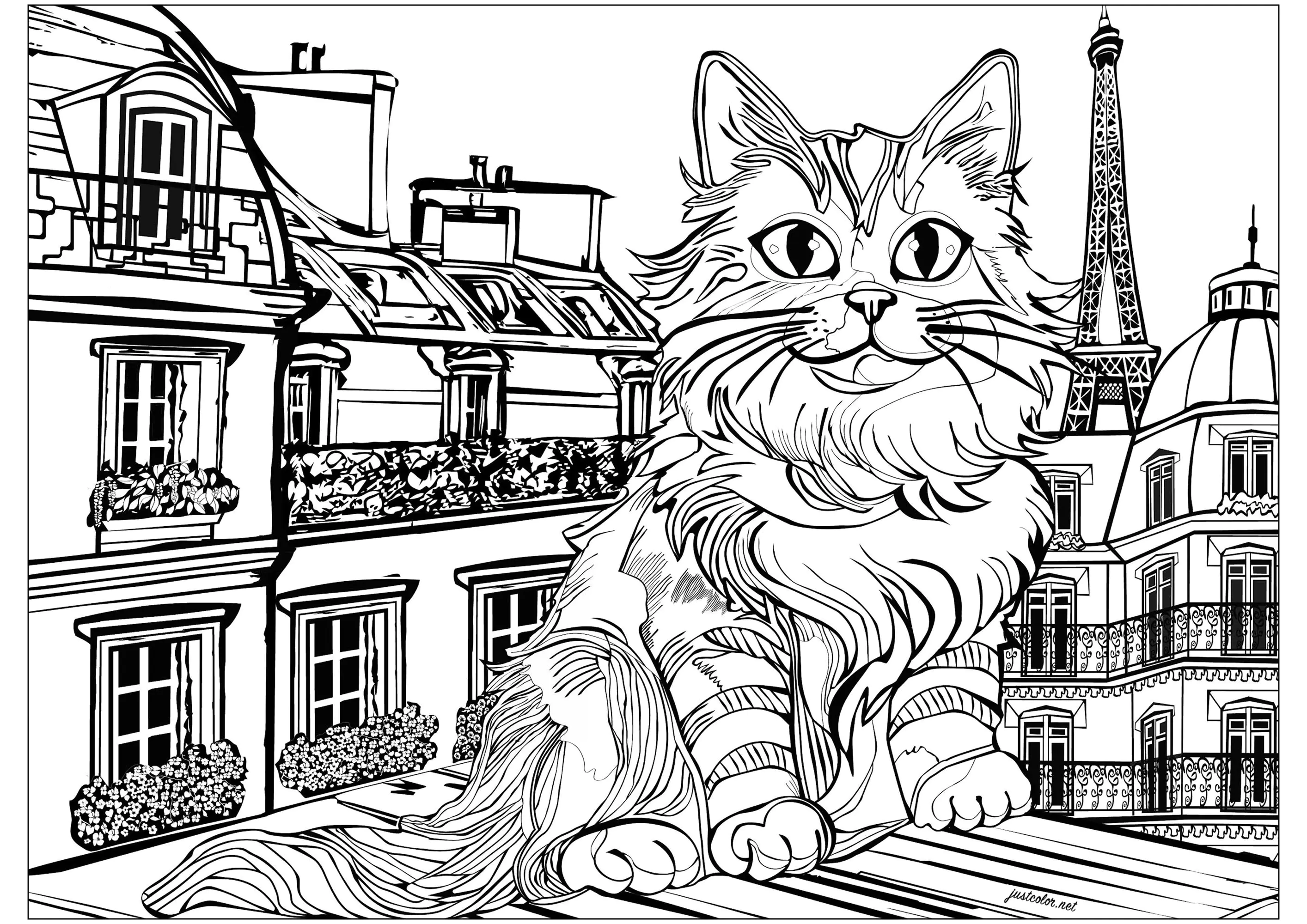 Katze auf den Dächern von Paris (Ausmalbild zum Ausdrucken und Ausmalen für Erwachsene)