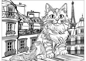 Katze auf den Dächern von Paris (Ausmalbild)