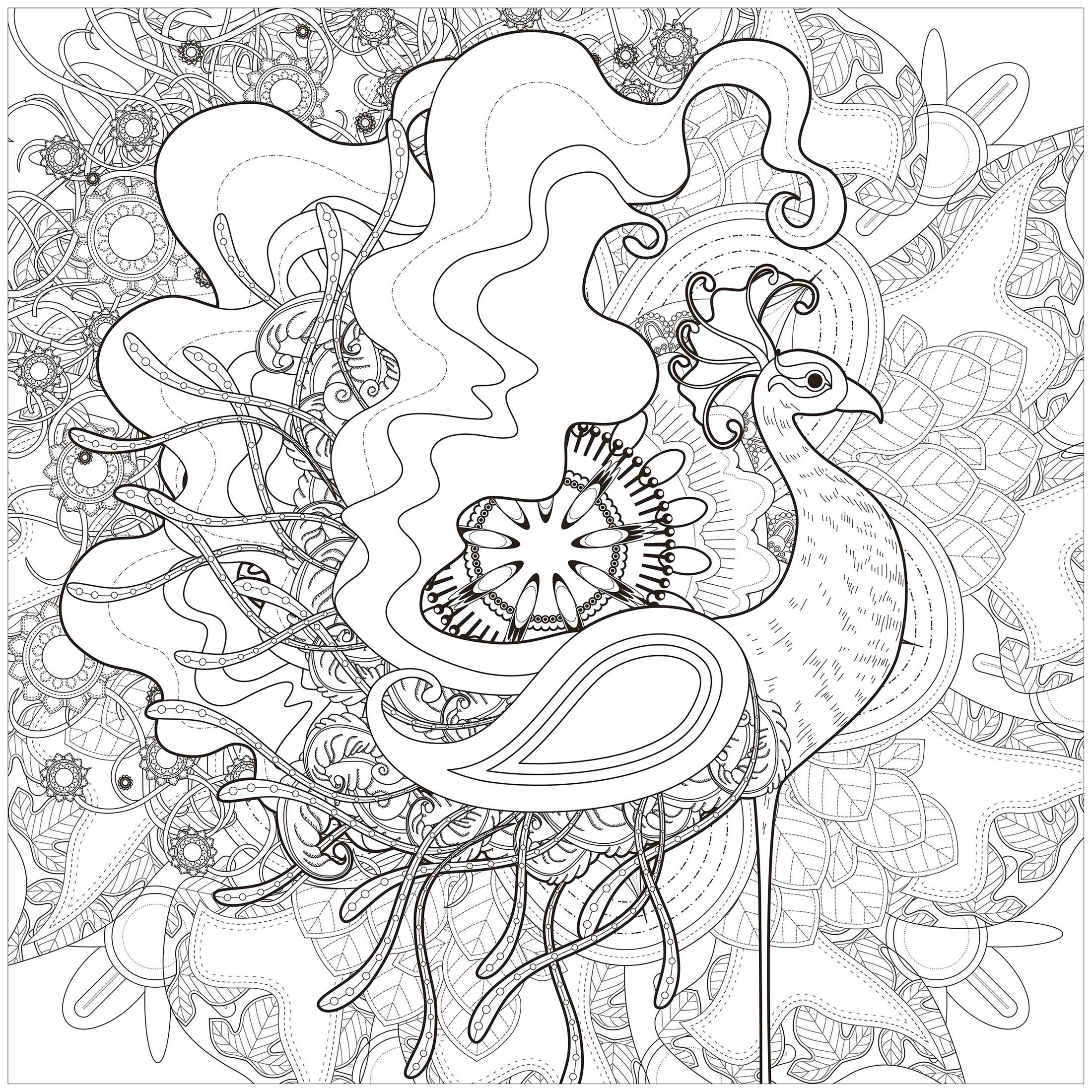 Erhabener Pfau auf abstraktem Hintergrund, gezeichnet mit Linien unterschiedlicher Dicke, Quelle : 123rf   Künstler : Kchung