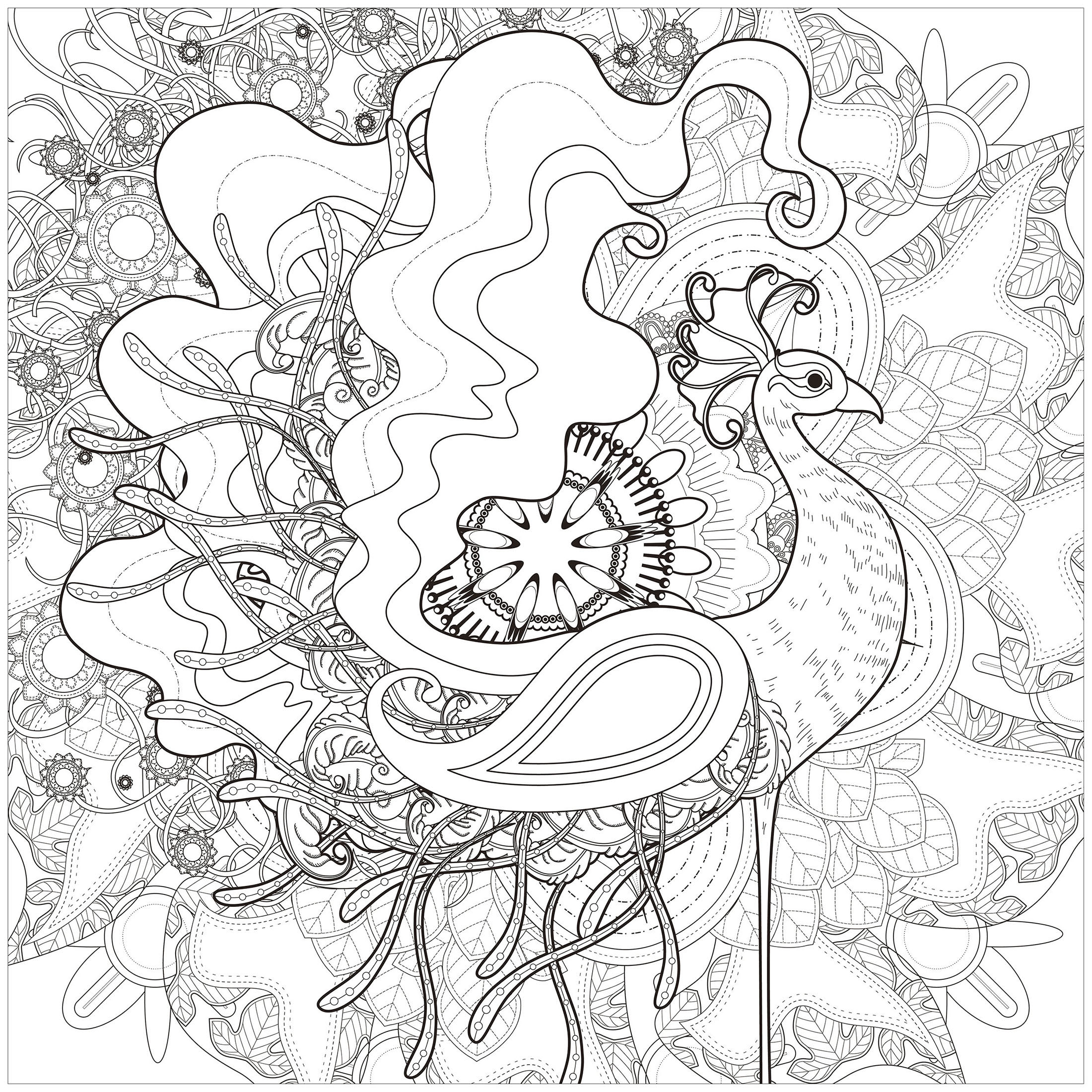 Majestätischer Pfau (Ausmalbild von Pfauen zum Ausdrucken und Ausmalen für Erwachsene)