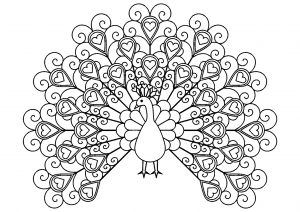 Pfau mit Herzen (Ausmalbild von Pfauen)