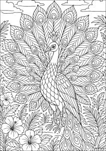 Ein majestätischer Pfau, der seine Flügel ausbreitet (Ausmalbild von Pfauen)