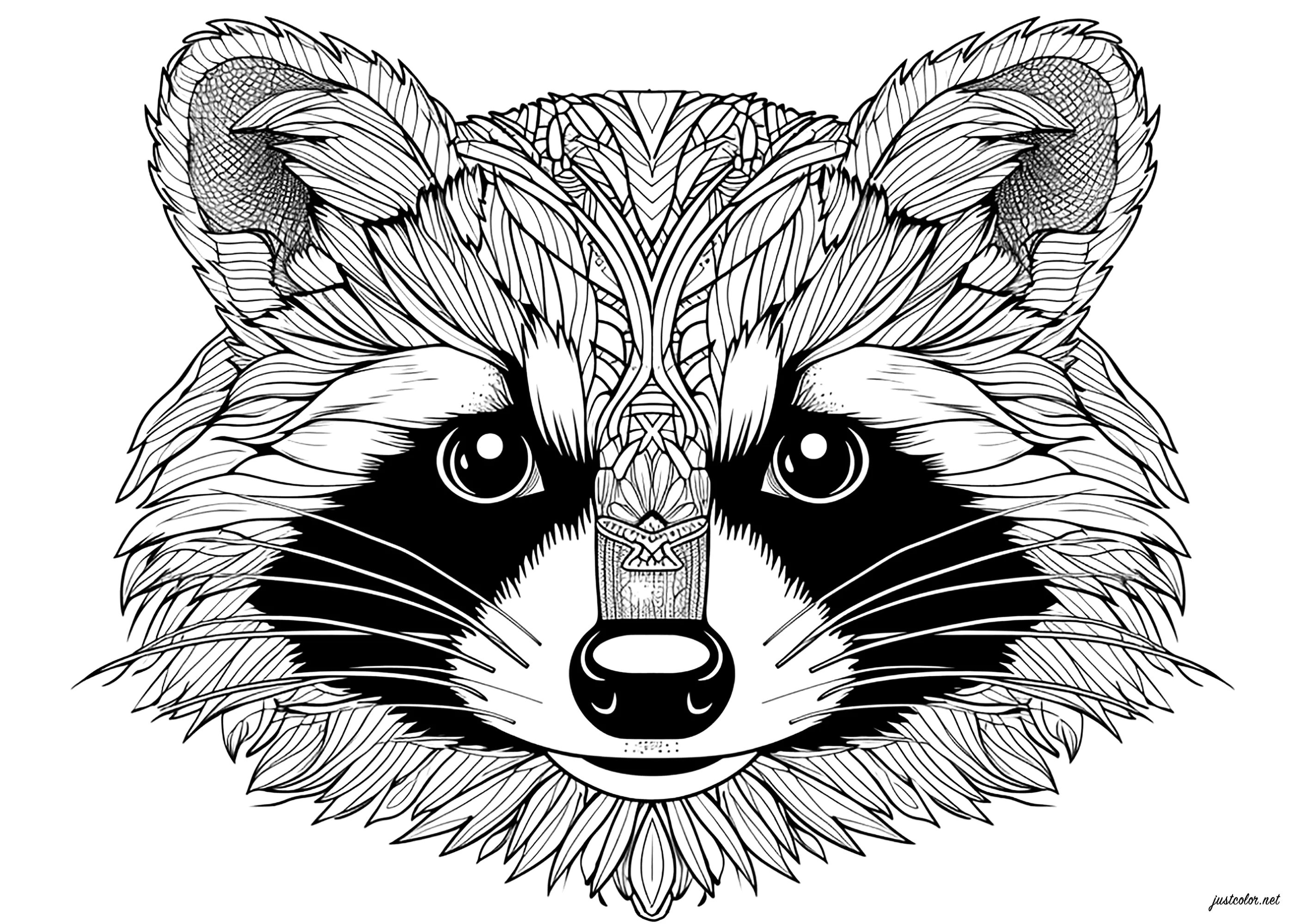 Waschbärkopf mit schönen Motiven (Ausmalbild von Waschbär zum Ausdrucken und Ausmalen für Erwachsene)