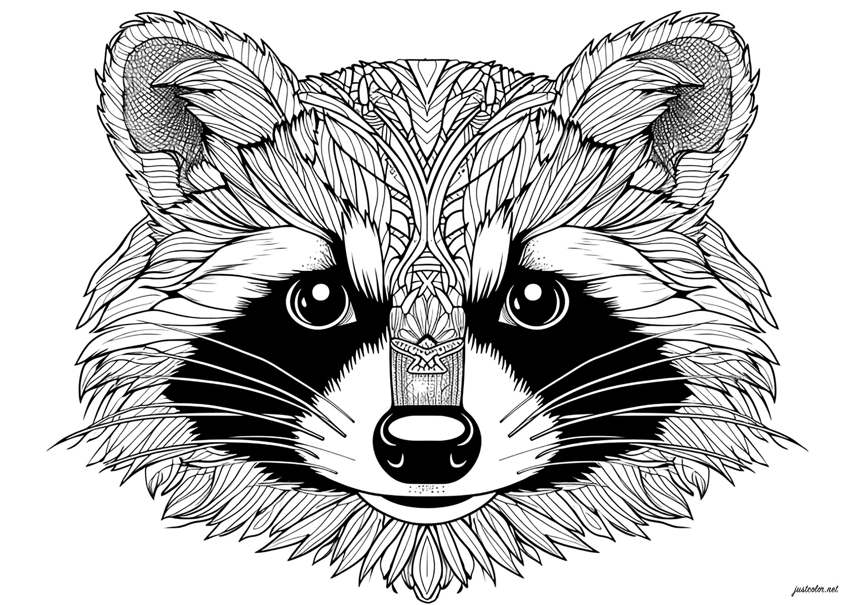 Waschbär -55098 (Ausmalbild zum Ausdrucken und Ausmalen für Erwachsene)