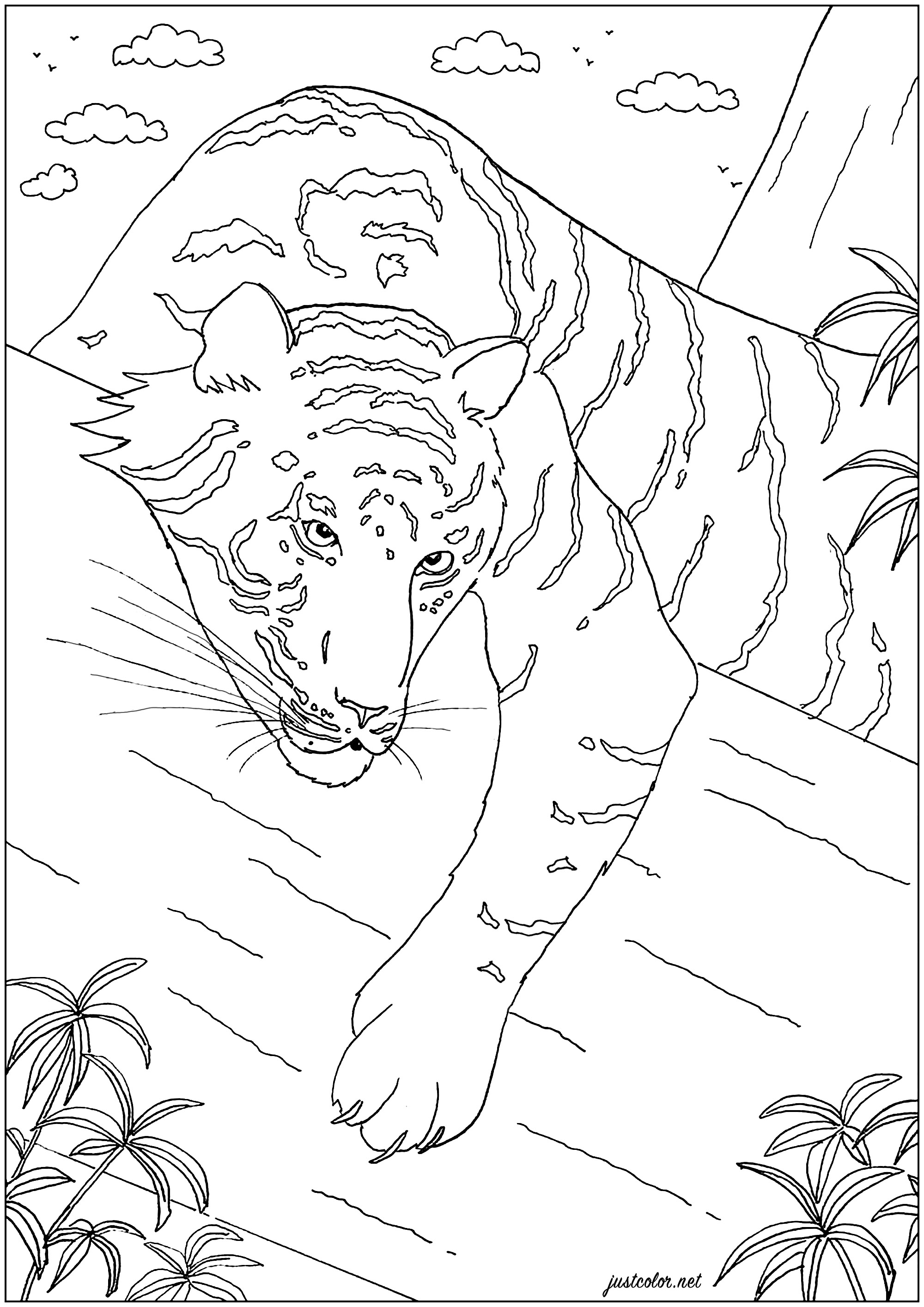 Elegantes Tigerchen (Ausmalbild von Tigers zum Ausdrucken und Ausmalen für Erwachsene)