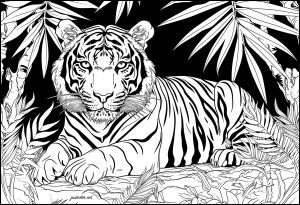 Majestätischer Tiger auf schwarzem Hintergrund (Ausmalbild)