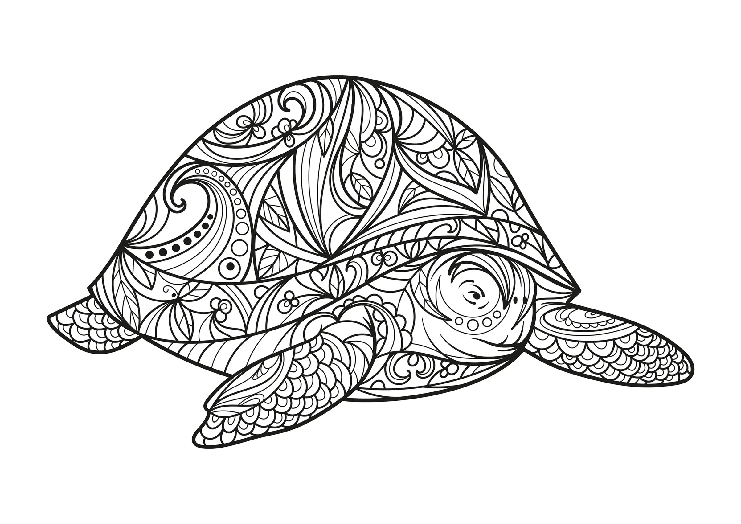 Große Schildkröte (Ausmalbild von Schildkröten zum Ausdrucken und Ausmalen für Erwachsene)