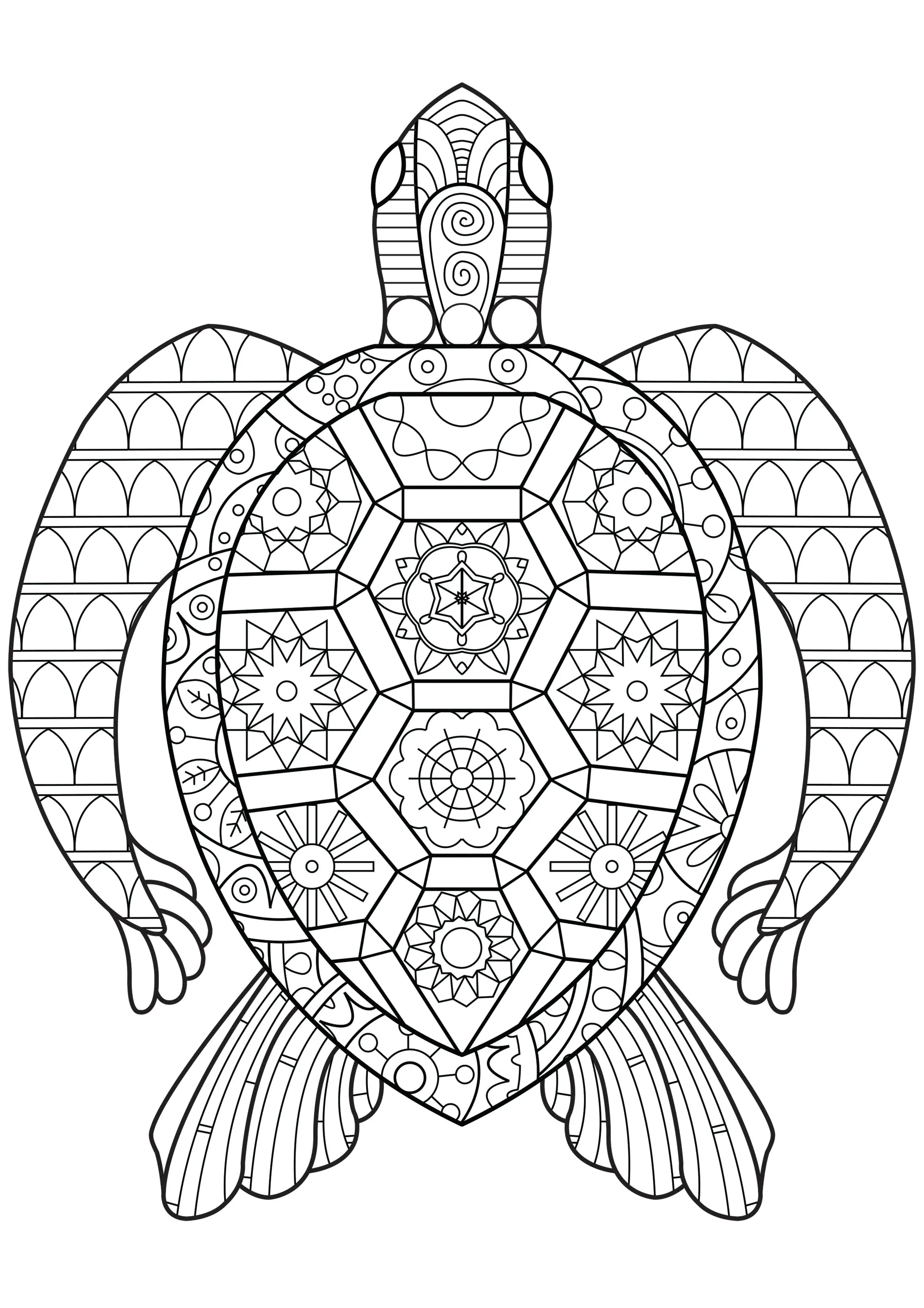 Zen-Schildkröte (Ausmalbild von Schildkröten zum Ausdrucken und Ausmalen für Erwachsene)