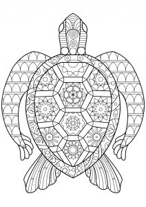 Zen-Schildkröte (Ausmalbild von Lucie)