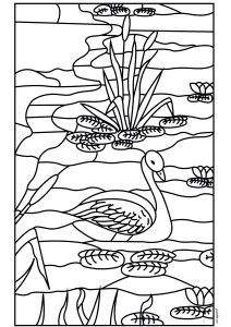 Gans im Teich (Ausmalbild von Glasmalerei)