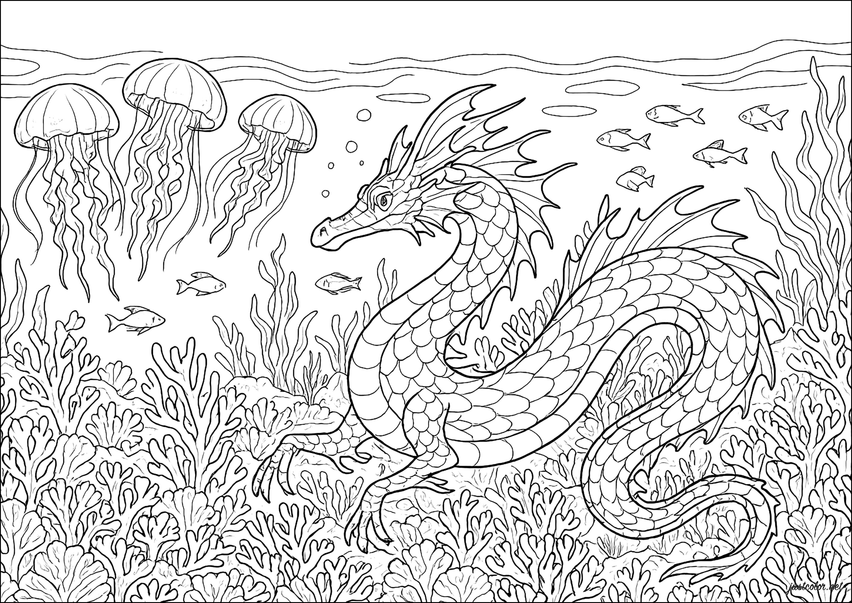 Seedrachen und Quallen (Ausmalbild von Wasserwelten zum Ausdrucken und Ausmalen für Erwachsene)