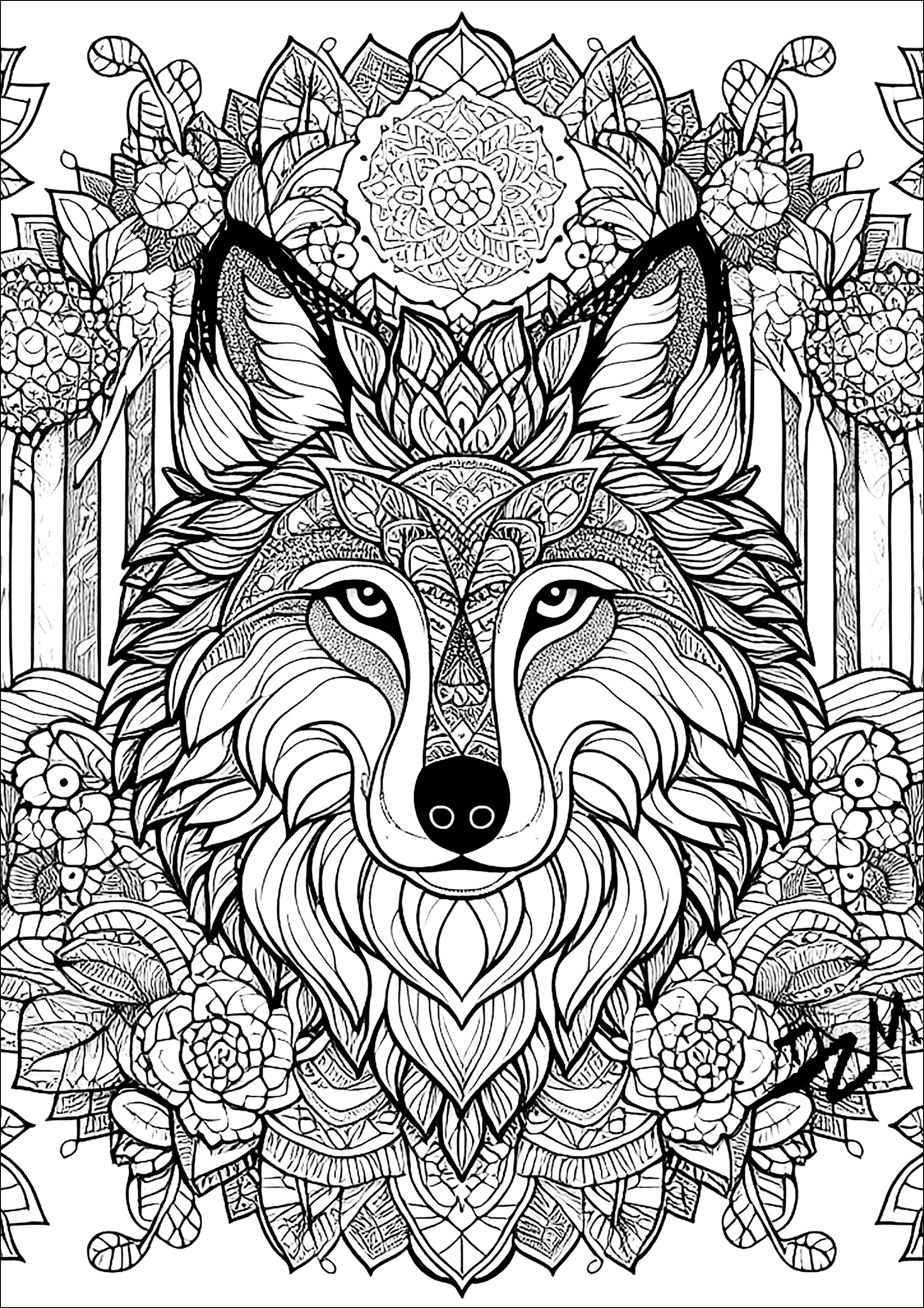 Wolf und Mandalas, Künstler : Domandalas
