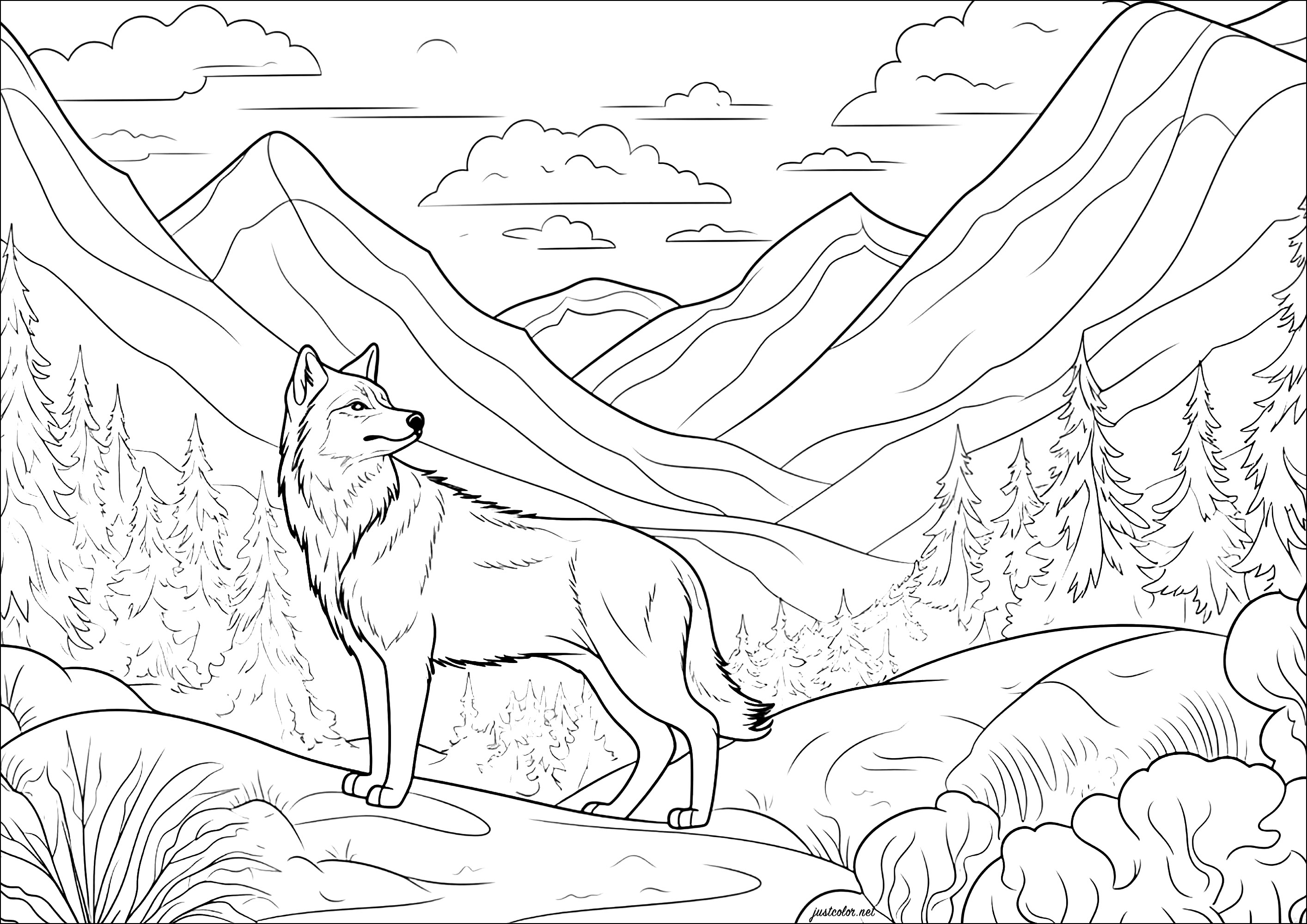 Der Wolf im Berg. Eine friedliche, ruhige Szene: Man spürt die Gelassenheit, die von dieser schönen Ausmalvorlage ausgeht, die einen sehr realistisch gezeichneten Wolf zeigt, der in eine hübsche Landschaft voller Details zum Ausmalen integriert ist.