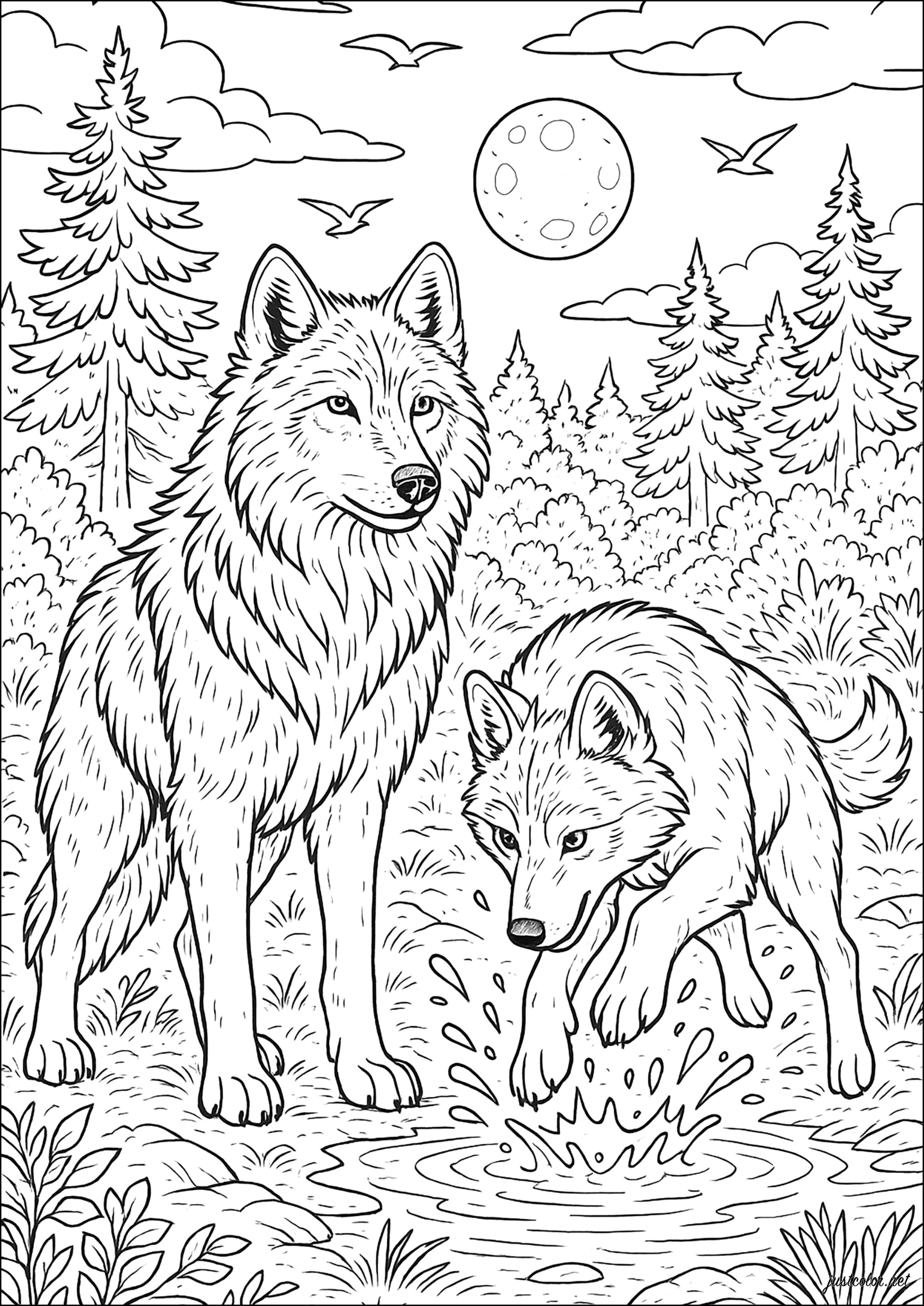 Wolfe-62108 (Ausmalbild zum Ausdrucken und Ausmalen für Erwachsene)