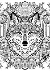 Wolf und Mandalas
