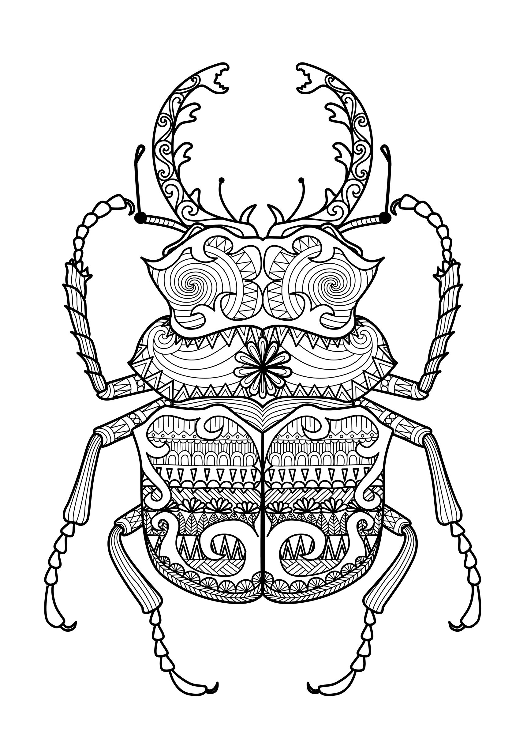 Ornamentaler Skarabäus mit gewundenen Hörnern (Ausmalbild von Zentangle zum Ausdrucken und Ausmalen für Erwachsene)