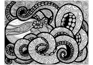Die Linien des Oktopus (Ausmalbild von Zentangle)
