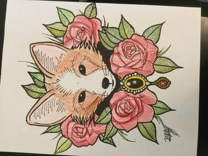 fuchse