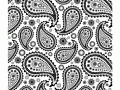 Druckbare Malvorlagen : Paisley