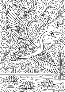 Druckbare Malvorlagen : Schwan