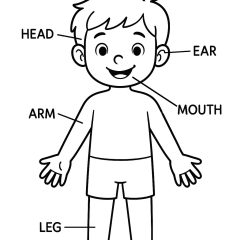 Coloriages de Corps humain à imprimer pour enfants