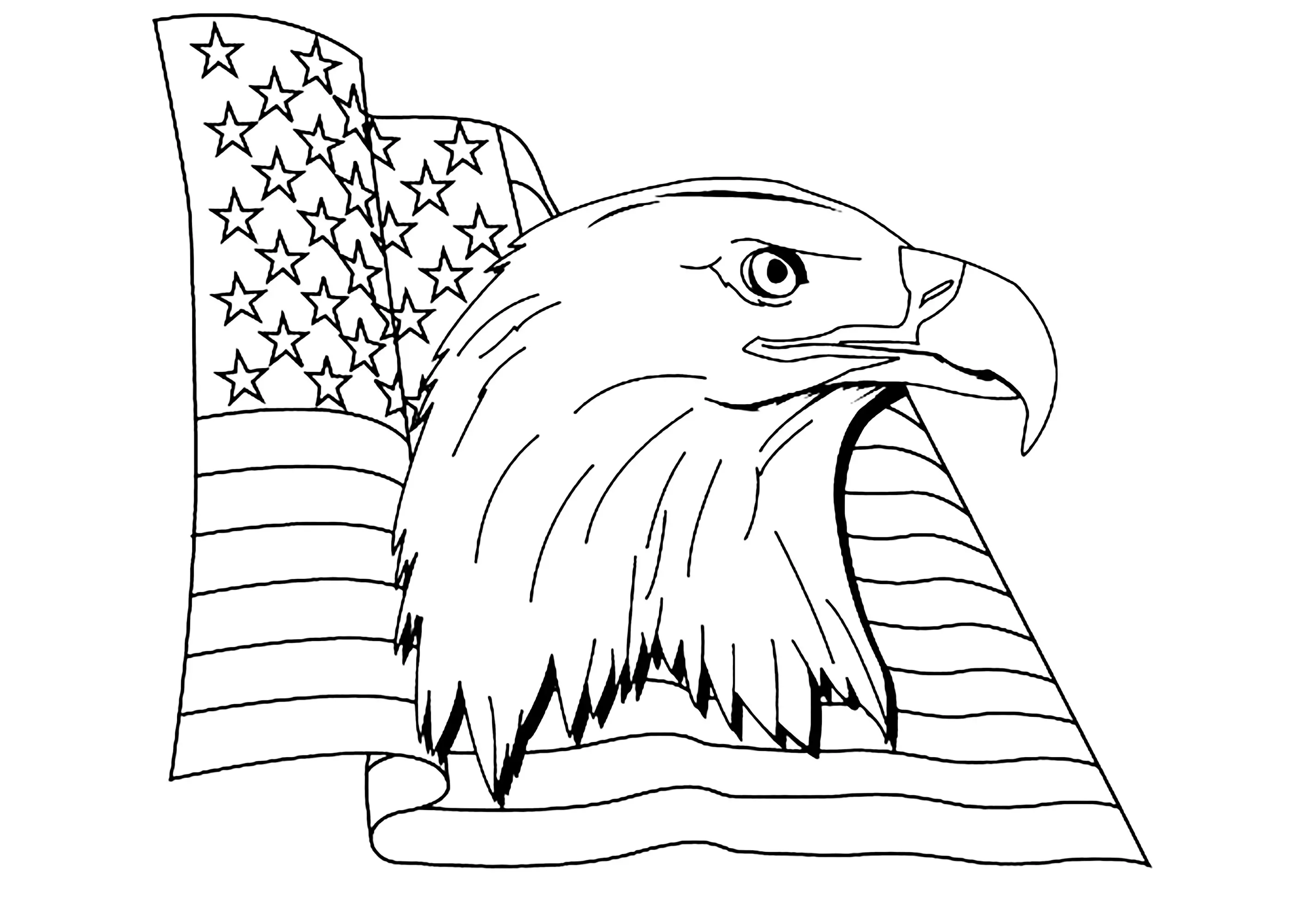 Tête d'aigle et drapeau des États-Unis (Coloriage à imprimer pour enfants)