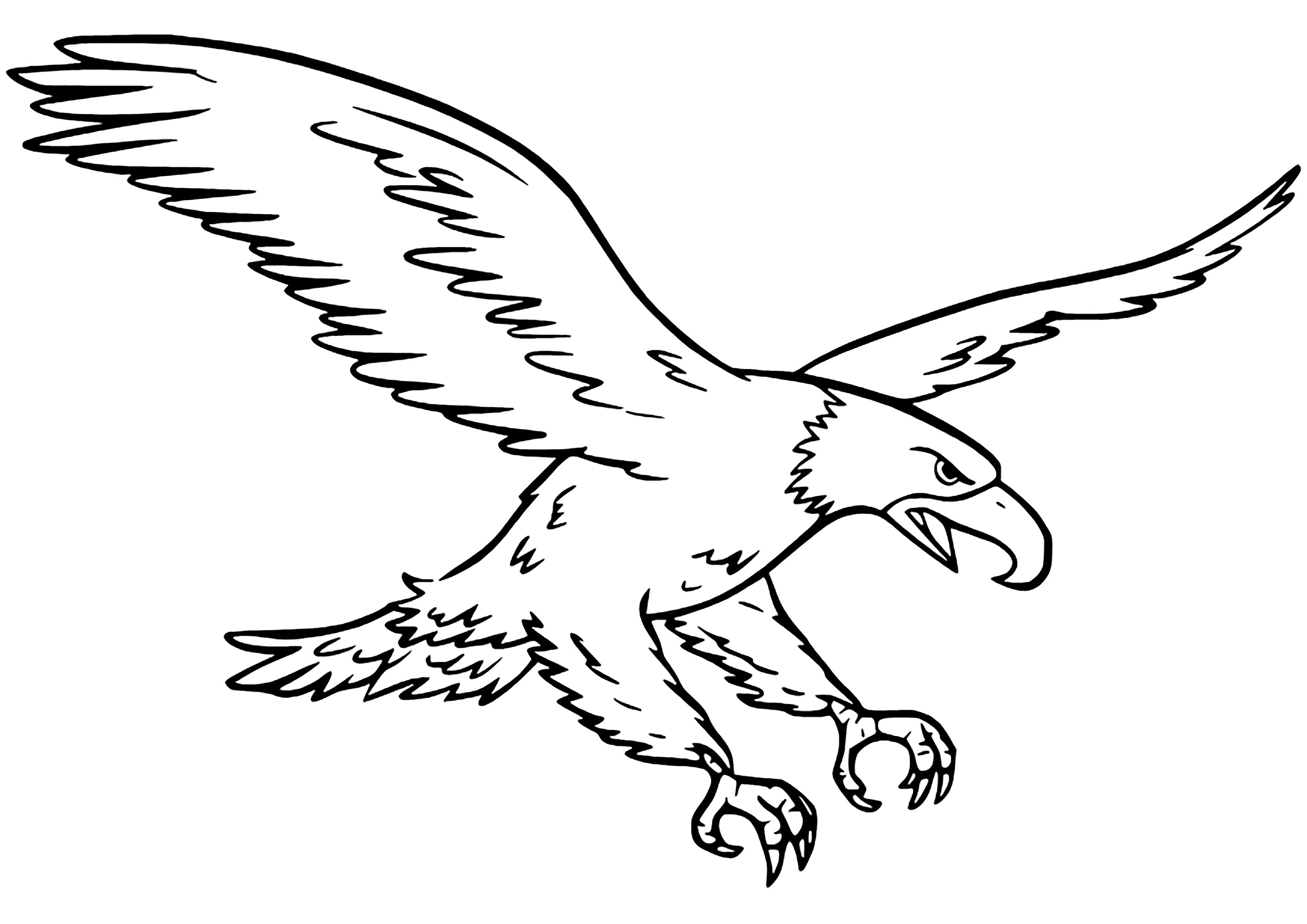 Coloriage d'un aigle majestueux. Peu de zones à colorier, très réaliste