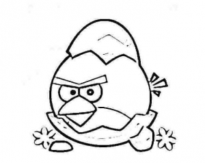 Coloriage de Angry birds à télécharger