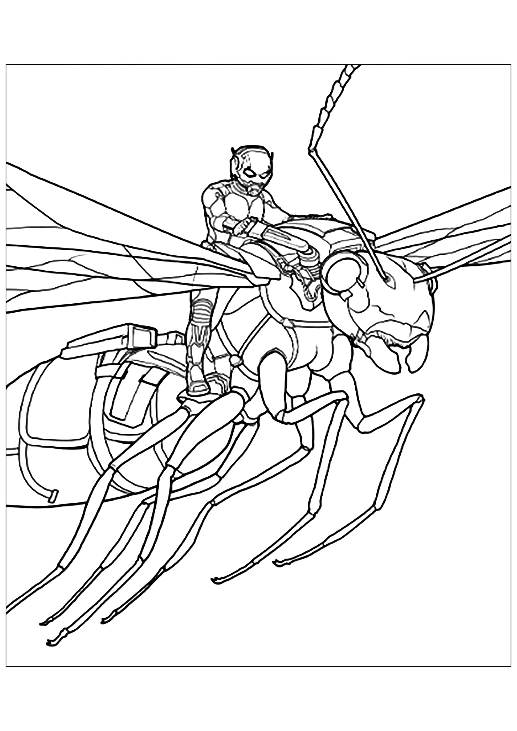 Ant-man sur une fourmi à ailes (Coloriage à imprimer pour enfants)