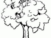 Coloriages d'Arbres à imprimer pour enfants