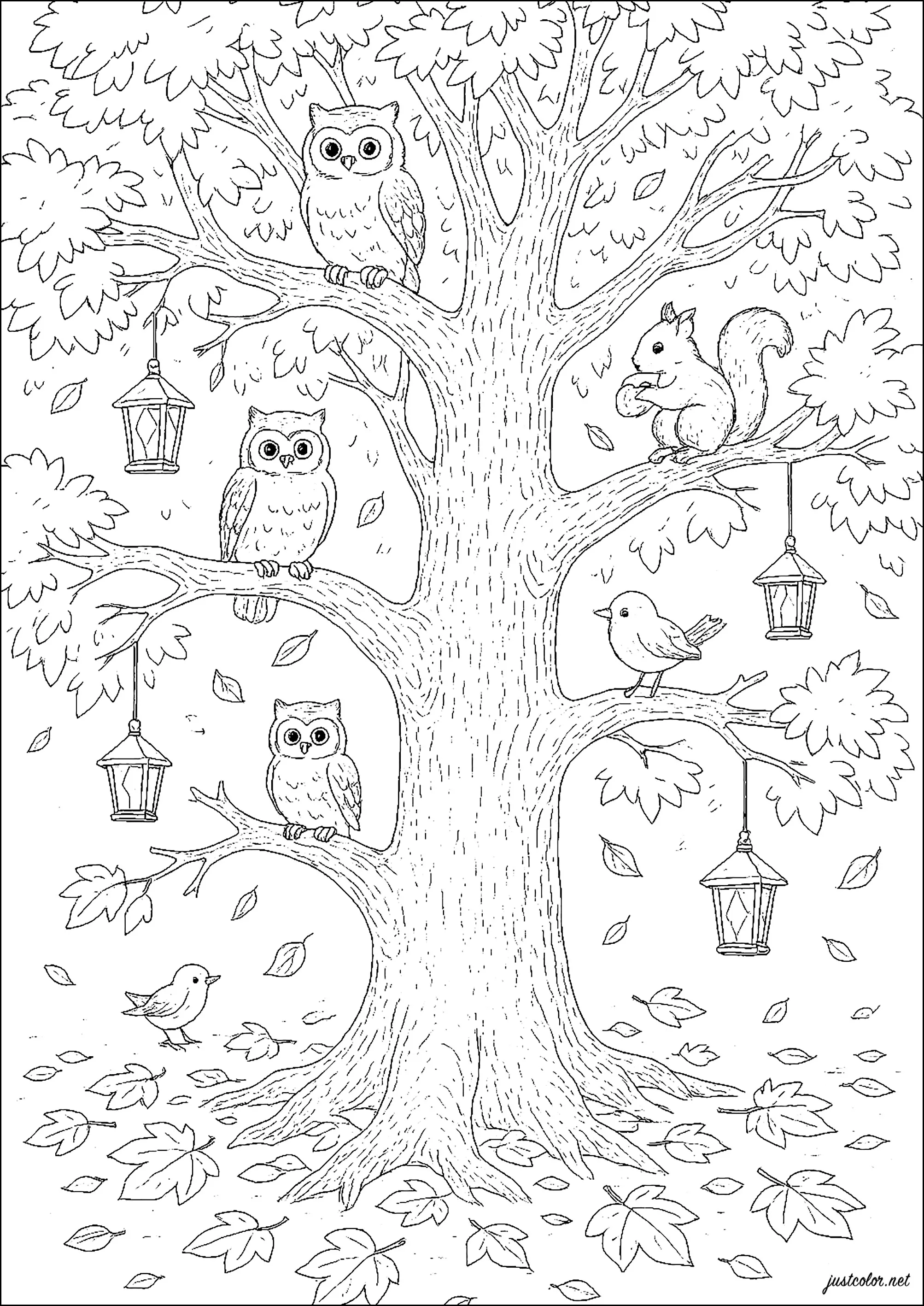 L'arbre aux hiboux et aux écureuils - Coloriages d'Arbres à imprimer, image size:2006x2834