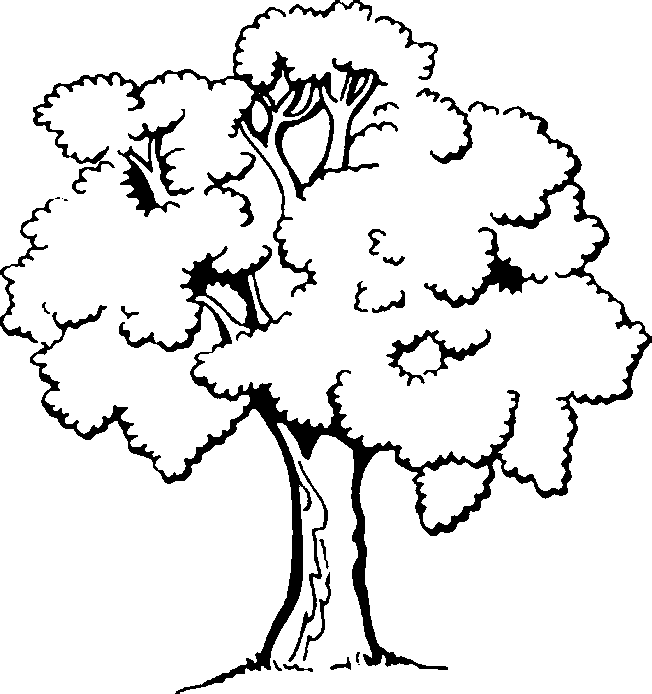 Un coloriage très facile d'un arbre très fourni