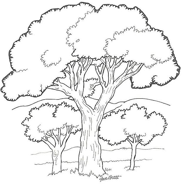 Arbres feuillus (Coloriage à imprimer pour enfants)