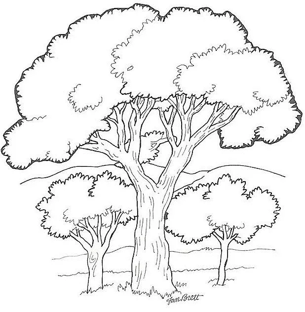 Arbres feuillus (Coloriage à imprimer pour enfants)