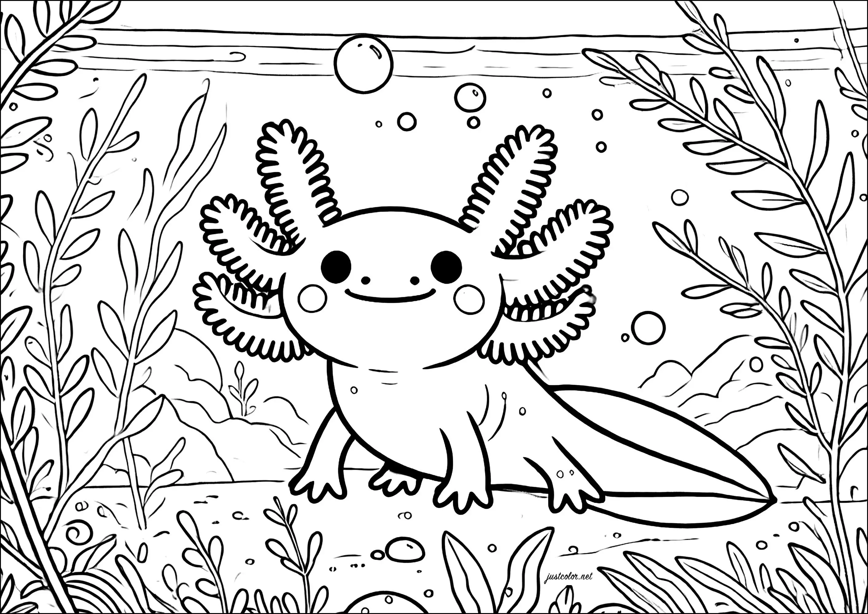 Axoloti entouré de fougères de mer (Coloriage d'Axolotl à imprimer pour enfants)
