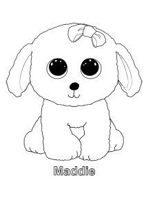 Maddie (chien)