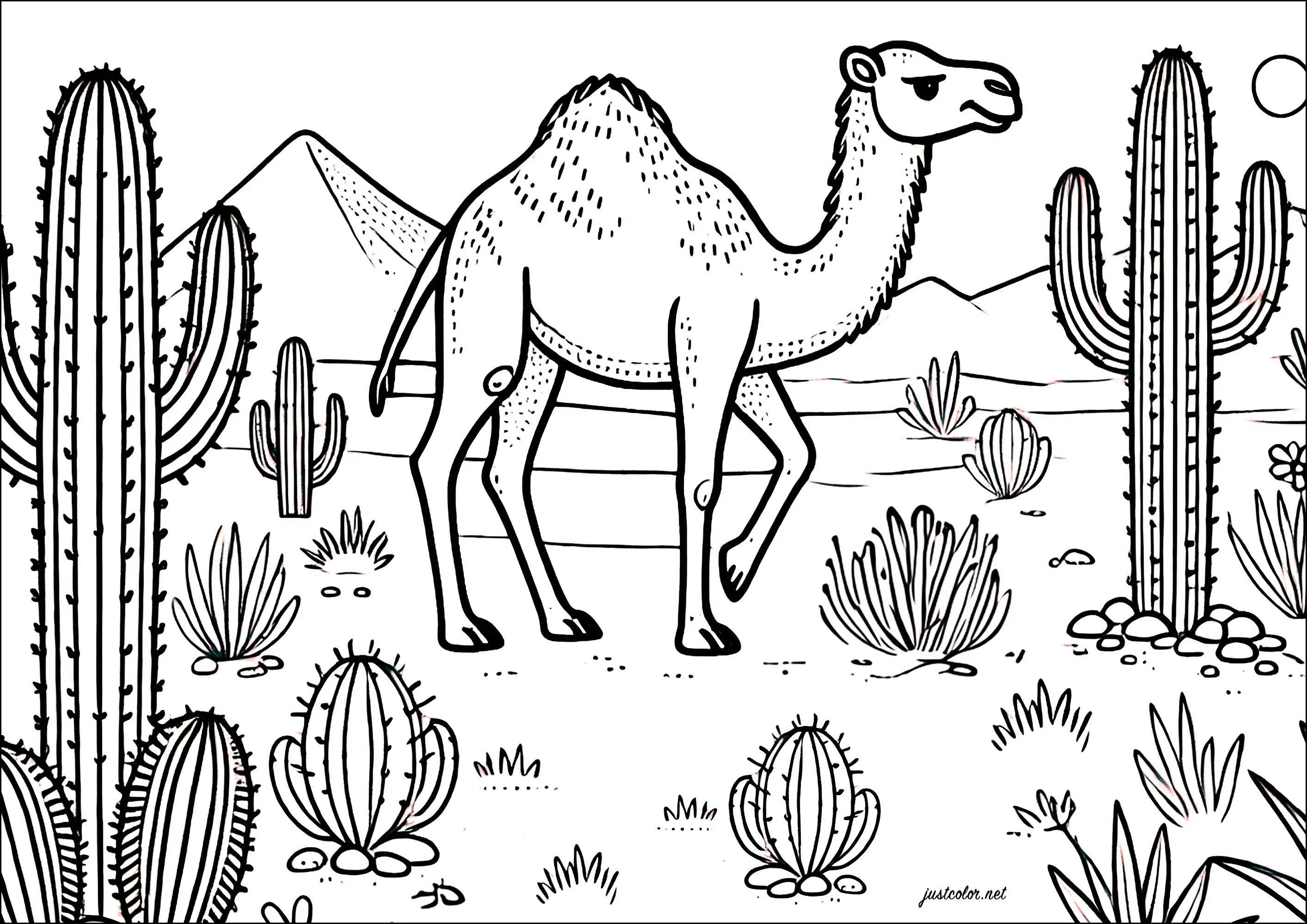 Dromadaire et cactus dans le désert (Coloriage de Chameaux et dromadaires à imprimer pour enfants)